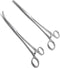 Apical Set of Kelly Forceps Locking Tweezers Clamp, Silver, Straight &Curved, 5-1/2 Inch